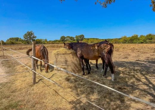 Ménesplet, Dordogneのカントリー風またはファームハウス