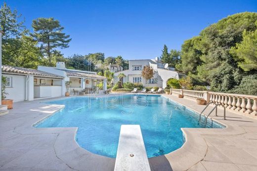 豪宅  Tourrettes-sur-Loup, Alpes-Maritimes