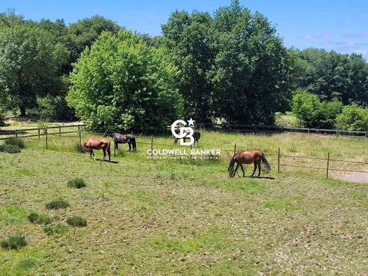 Boerderij in Saintes, Charente-Maritime