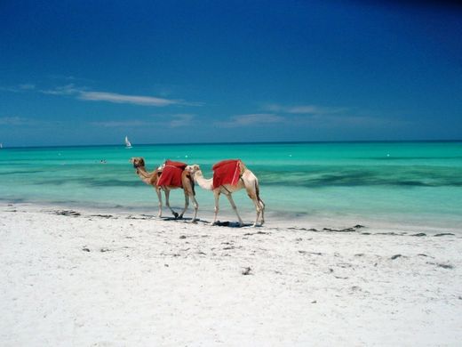 Hotel w Playa Sidi Mehrez, Jerba Midoun