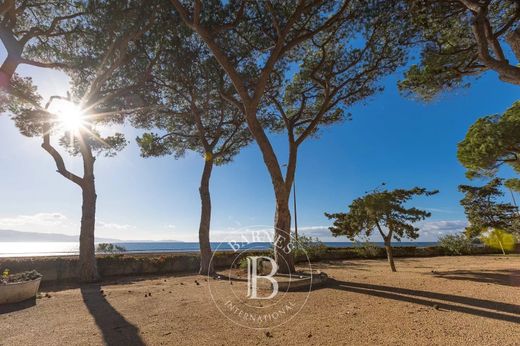 Apartment in Ajaccio, South Corsica