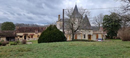 Castle in Mouleydier, Dordogne