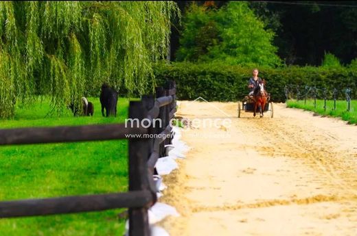 ﻣﻨﺰﻝ ﺭﻳﻔﻲ/ ﺑﻴﺖ ﻤﺰﺭﻋﺔ ﻓﻲ Forges-les-Eaux, Seine-Maritime