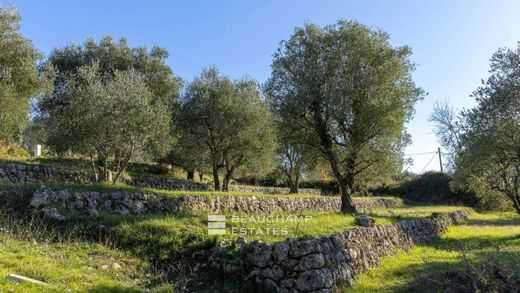 地皮  Opio, Alpes-Maritimes