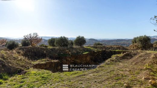 Terreno a Opio, Alpi Marittime