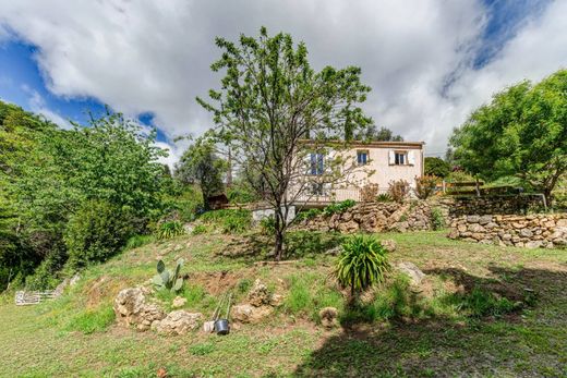 Maison de luxe à Carros, Alpes-Maritimes