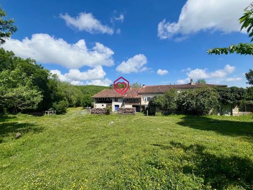 Rural or Farmhouse in Le Mas-d'Azil, Ariège