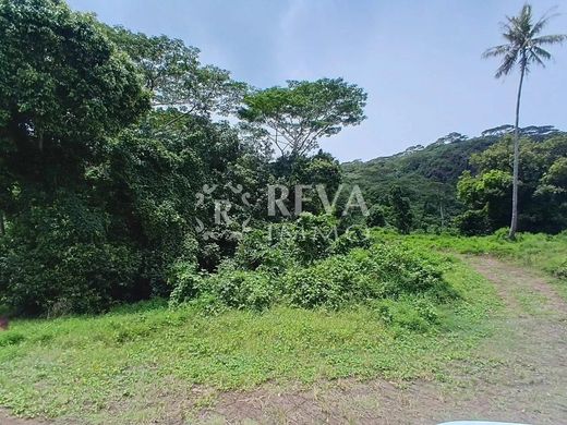 Land in Moorea, Moorea-Maiao