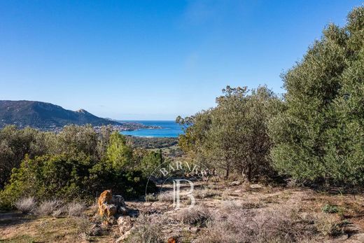 Terreno a Corbara, Corsica settentrionale