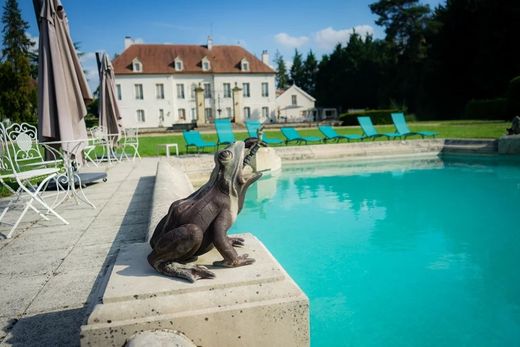 Kasteel in Chevannes, Yonne