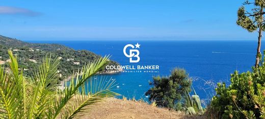 빌라 / Rayol-Canadel-sur-Mer, Var