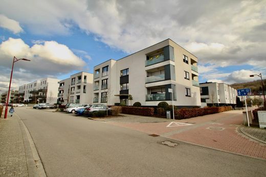 Apartment / Etagenwohnung in Schifflange, Canton d'Esch-sur-Alzette