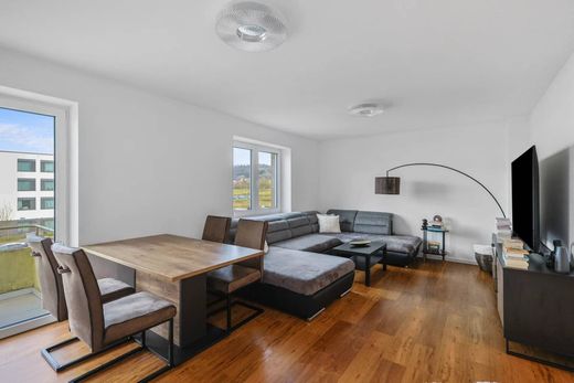 Duplex in Differdange, Canton d'Esch-sur-Alzette