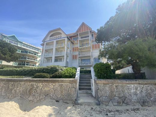 Daire Arcachon, Gironde