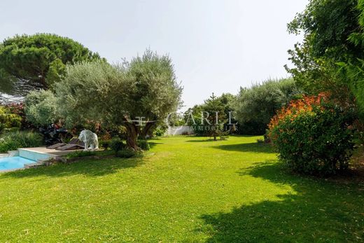 Элитный дом, Saint-Bonnet-de-Mure, Rhône