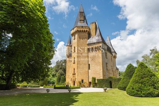 Замок, Montignac, Dordogne