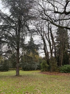 豪宅  Saint-Fargeau-Ponthierry, Seine-et-Marne