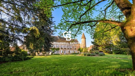 Castillo en Vérizet-Fleurville, Saona y Loira