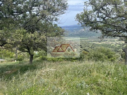 Πολυτελή κατοικία σε Cateri, Upper Corsica