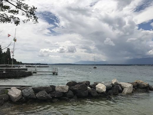 ﺷﻘﺔ ﻓﻲ Corsier, Geneva