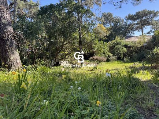 Элитный дом, Cap Ferret, Gironde