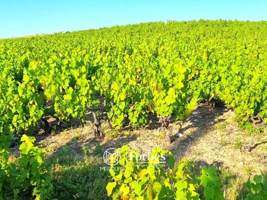 Rustico o Casale a Belleville, Rhône