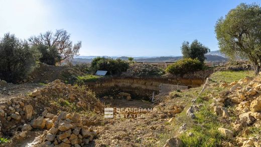 Terreno a Opio, Alpi Marittime