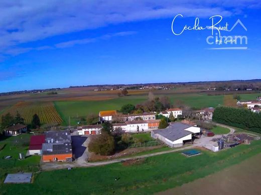 Rural or Farmhouse in Saint-Caprais-de-Blaye, Gironde