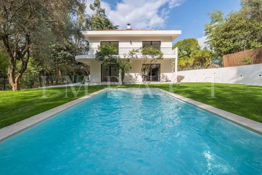 Villa a Cannes, Alpi Marittime