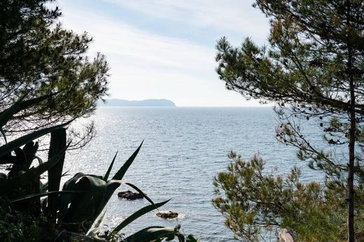 Luxus-Haus in Carqueiranne, Var