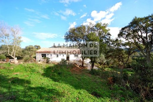 Villa in Sotta, South Corsica