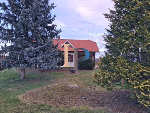 Luxus-Haus in Vougy, Loire