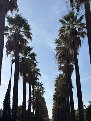 套间/公寓  Hyères, Var