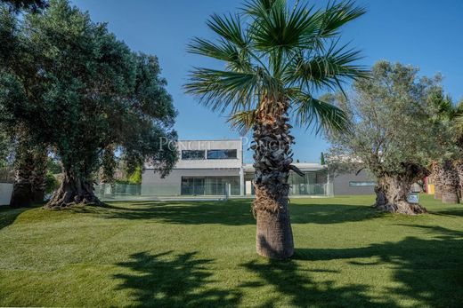 Luksusowy dom w Castelnau-le-Lez, Hérault