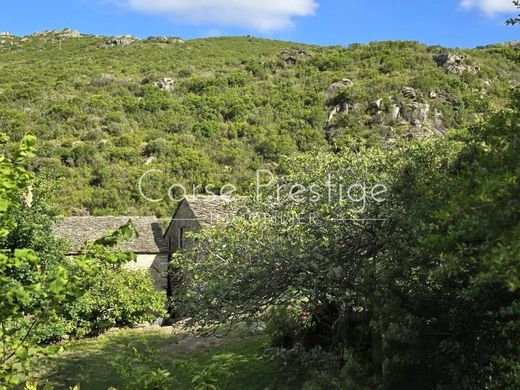 Santo-Pietro-di-Tenda, Upper Corsicaの高級住宅