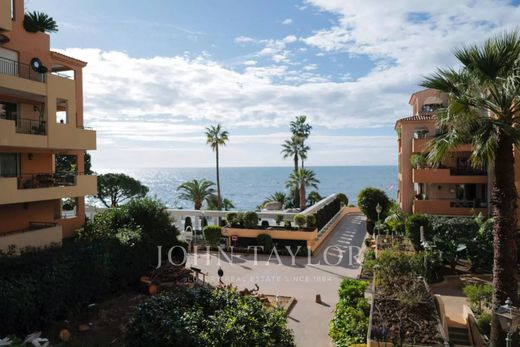 Monacoのアパートメント