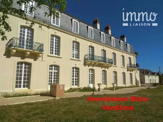 Luxe woning in Vendôme, Loir-et-Cher