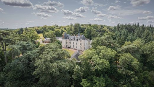 Castillo en Laval, Mayenne