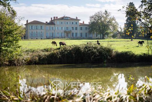 Castle in Feurs, Loire