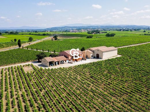 Boerderij in Sainte-Cécile-les-Vignes, Vaucluse