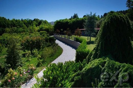 Casa de luxo - Lamego, Viseu