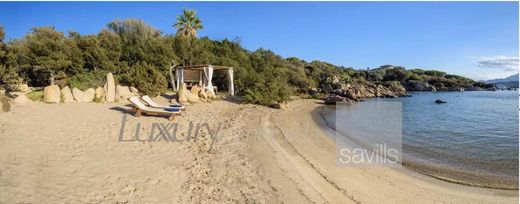 别墅  Arzachena, 萨萨里省