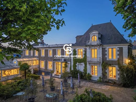 Luxury home in Buzançais, Indre