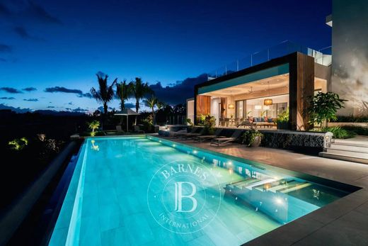 Willa w Beau Champ, Savanne District