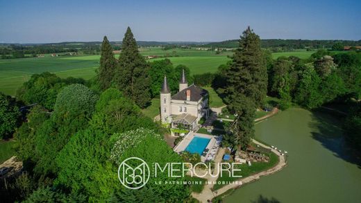 Castle in La Roche-Posay, Vienne