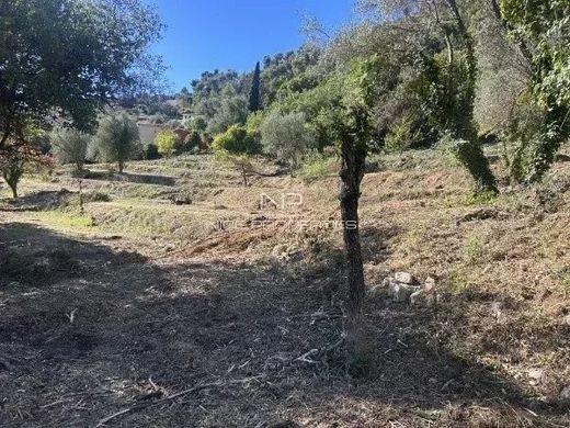 Arsa Falicon, Alpes-Maritimes