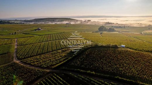 Lantignié, Rhôneのカントリー風またはファームハウス