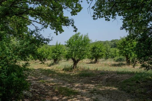 호화 저택 / Bouquet, Gard