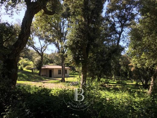 Villa in Porto-Vecchio, South Corsica