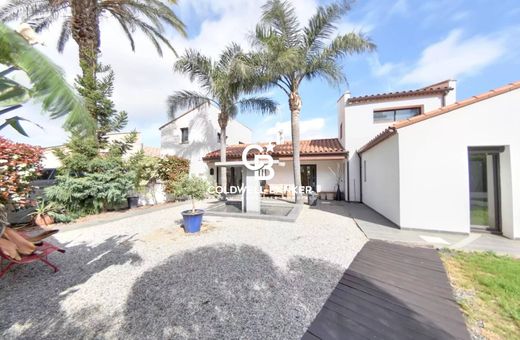 Villa in Saint-Cyprien, Pyrénées-Orientales